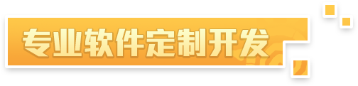 专业软件定制开发